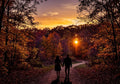 Autumn Walk 2.5oz soy wax melt