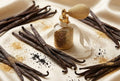 French Vanilla Silk 2.5oz soy wax melt